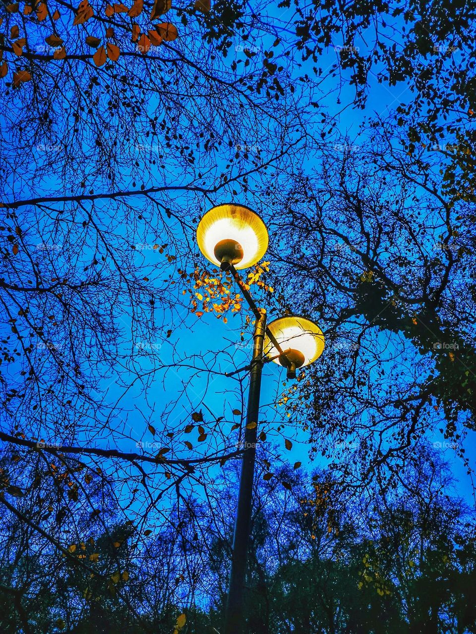 Outside lights