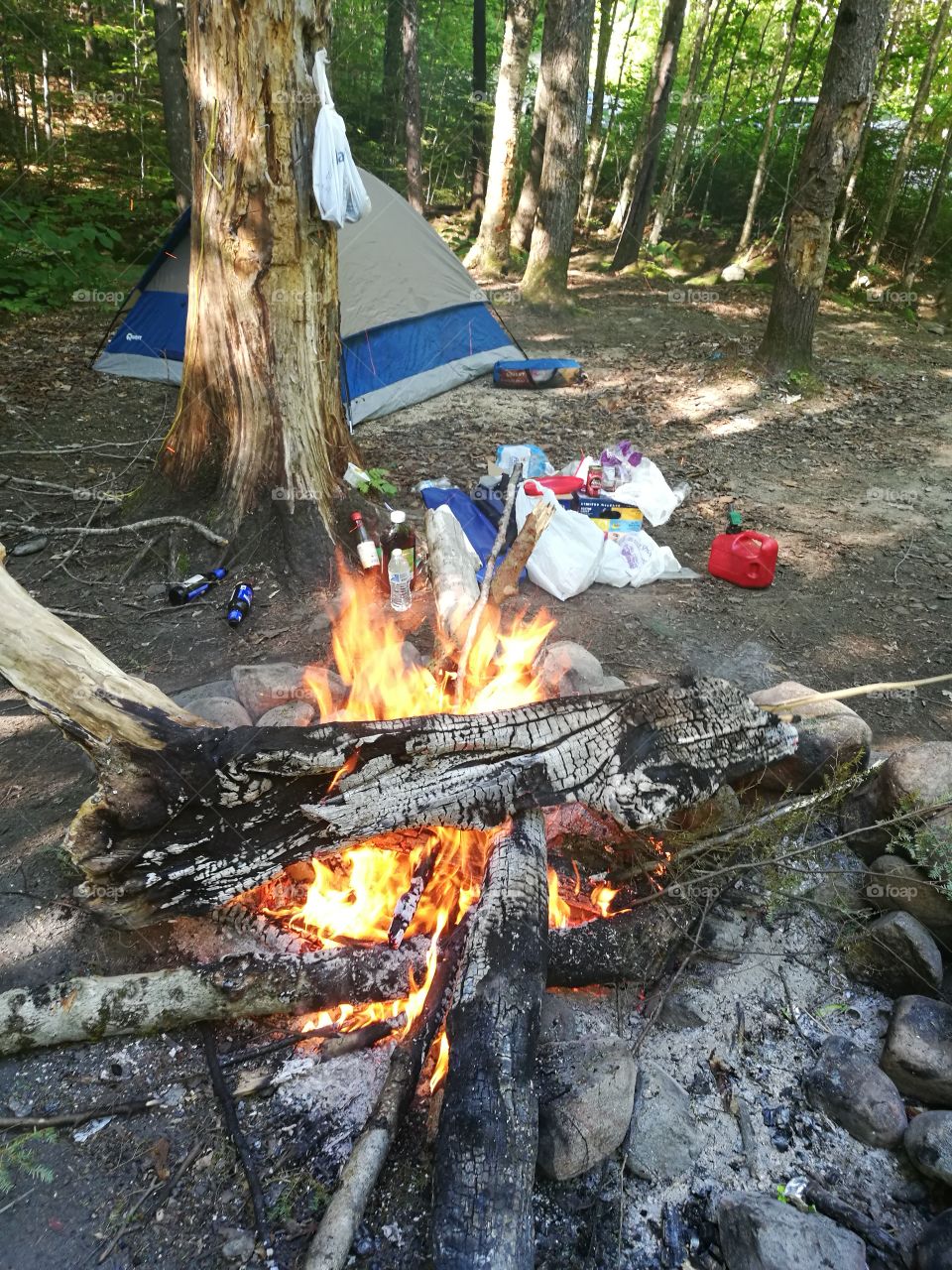 Campfire in the forest with friends