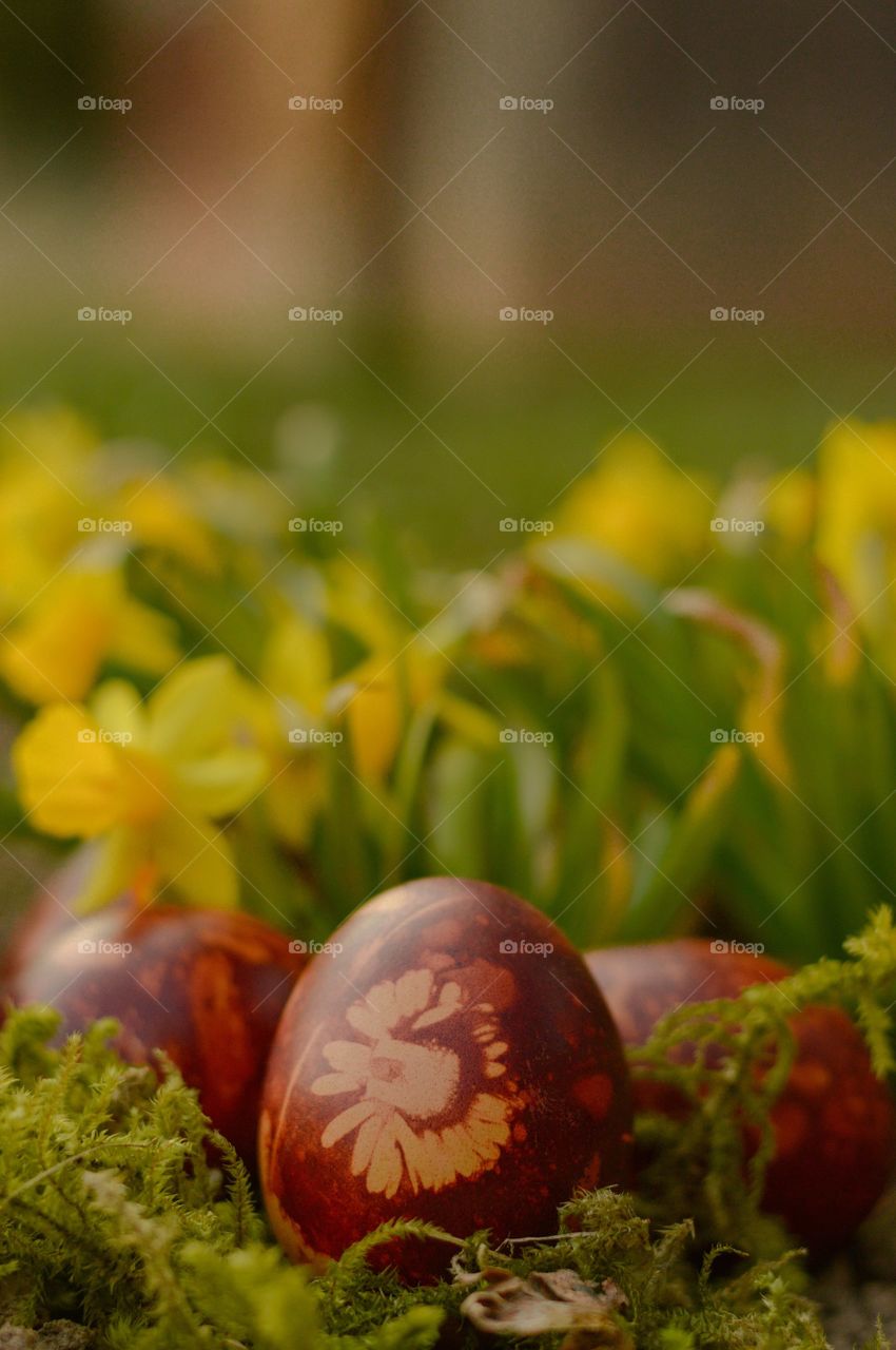 Naturally dyed easter eggs. Dyed with onion skin.