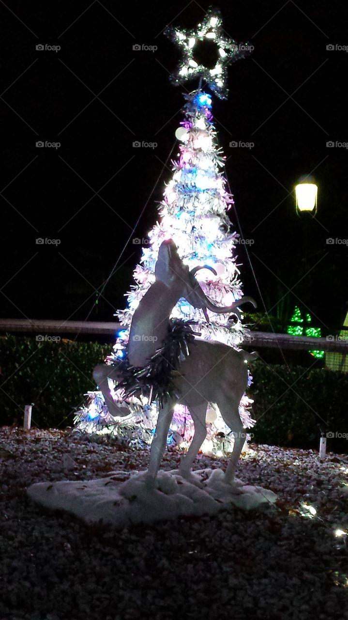Reindeer and Christmas Tree