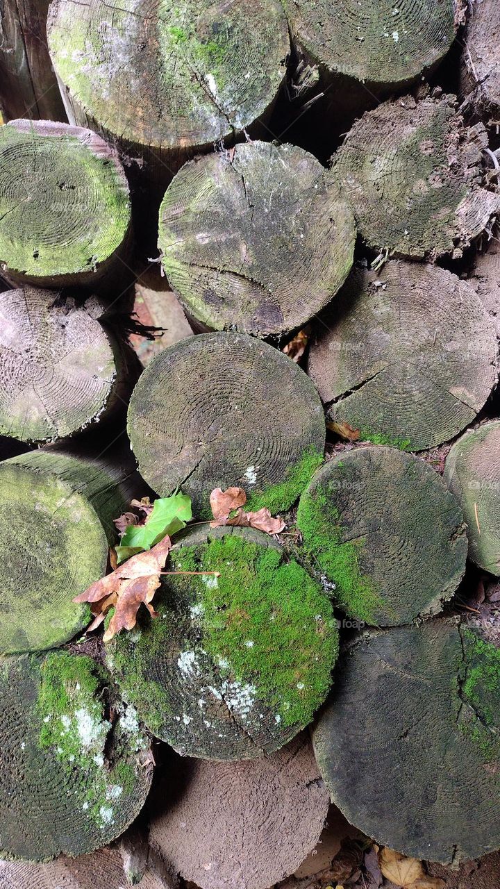 wall of old wood