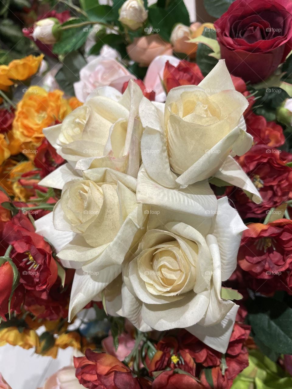 A bouquet of roses