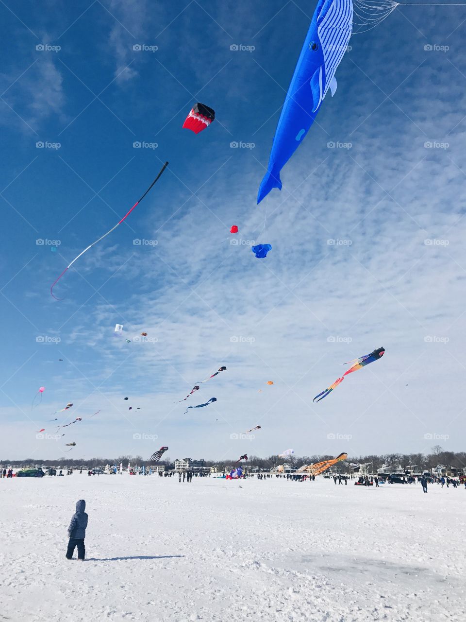 Cold stark winter time with snow covered surfaces making everything look white! Kites time!! 
