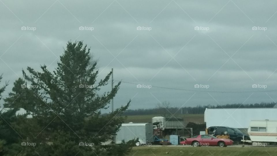 Landscape, No Person, Tree, Outdoors, Daylight