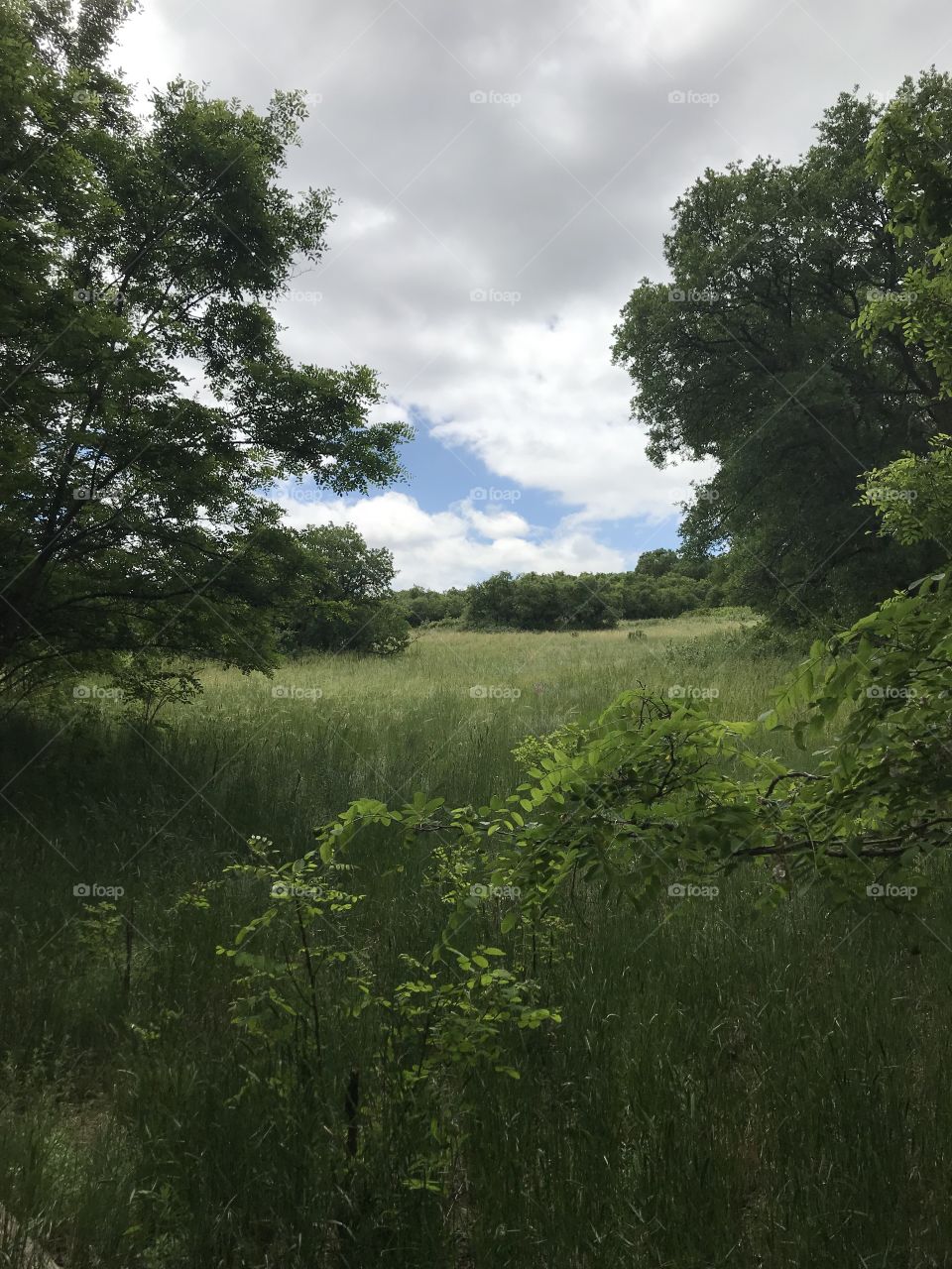 Hike through the bear creek nature center in Colorado Springs Colorado. Beautiful scenery, beautiful weather and so much green everywhere.