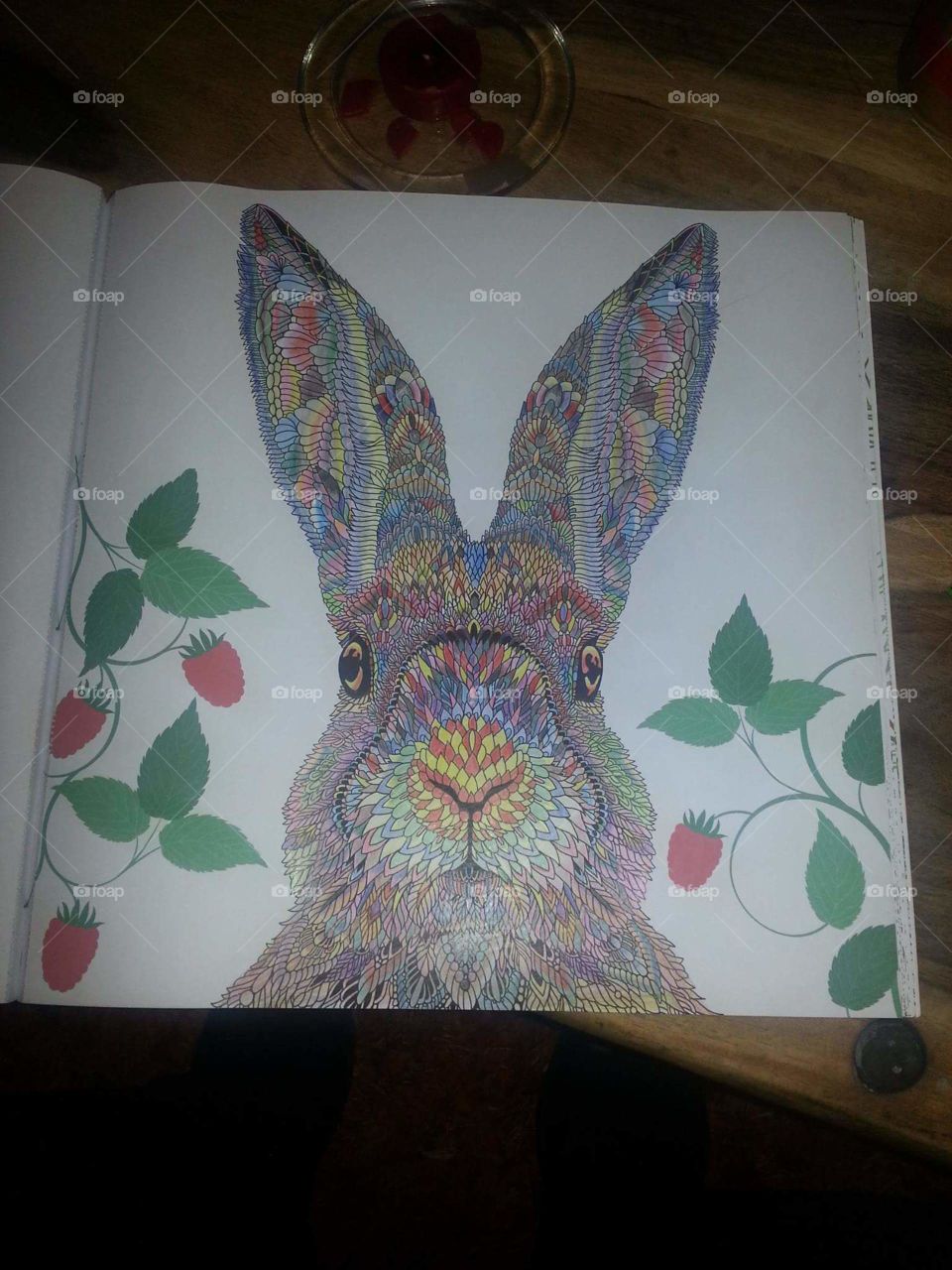 My rabbit art