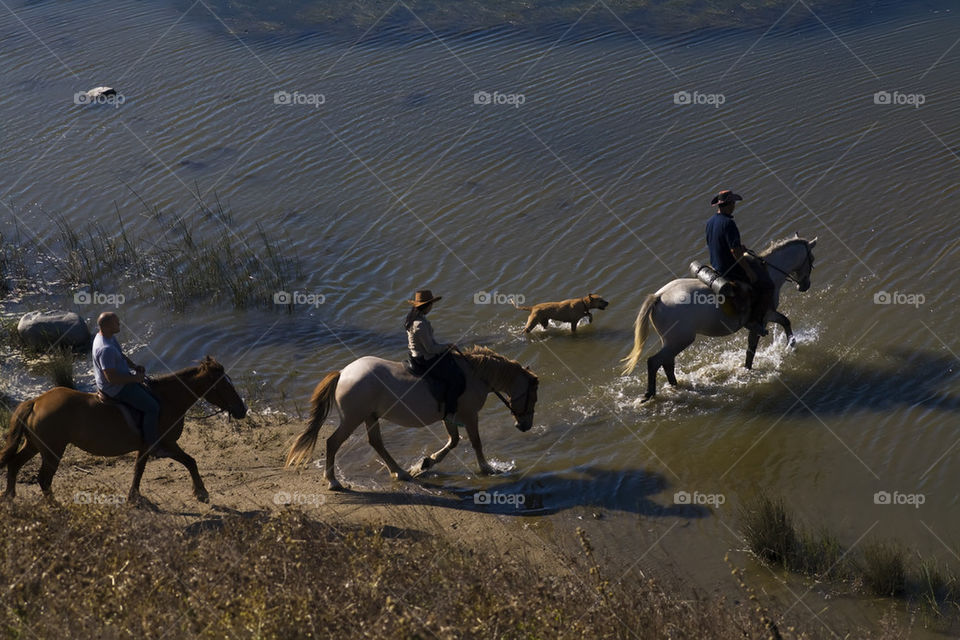 riders and a dog cross the river viewed from above