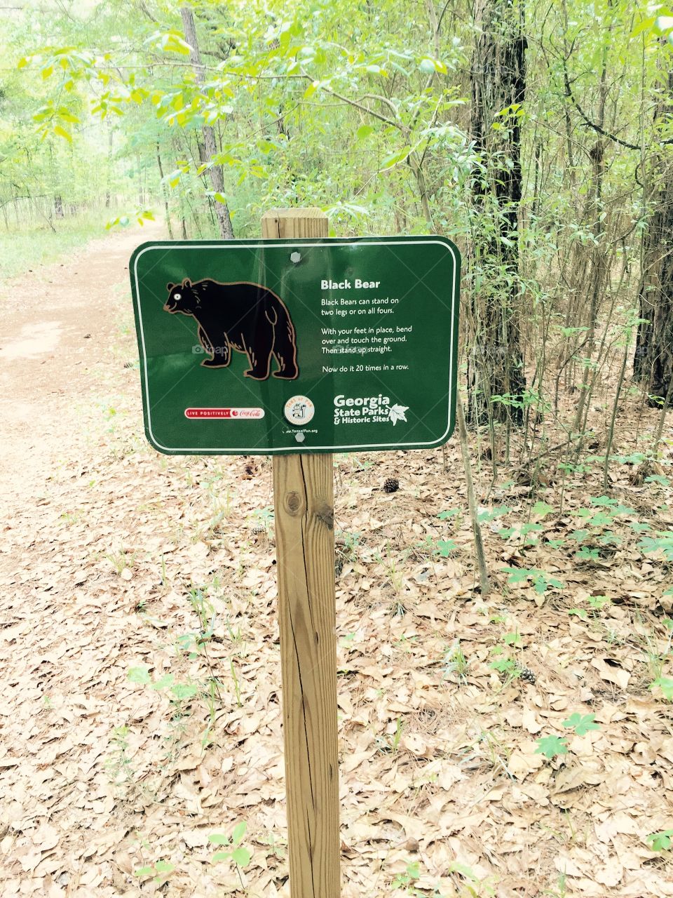 Bear sign on the hiking trail.