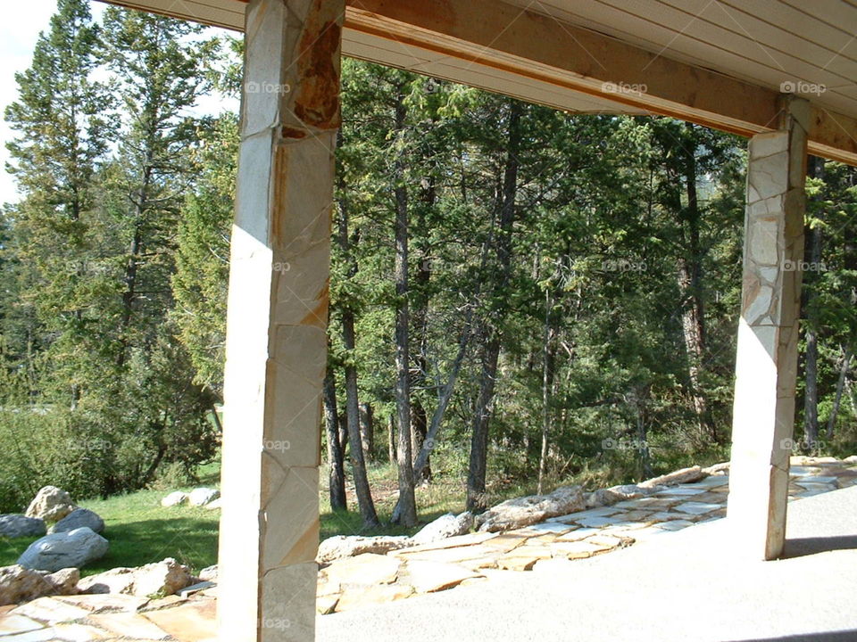 View of the forest from the cottage basement