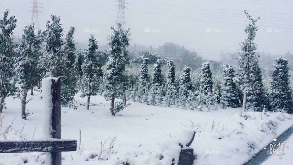 beautiful view of snowfall and fog