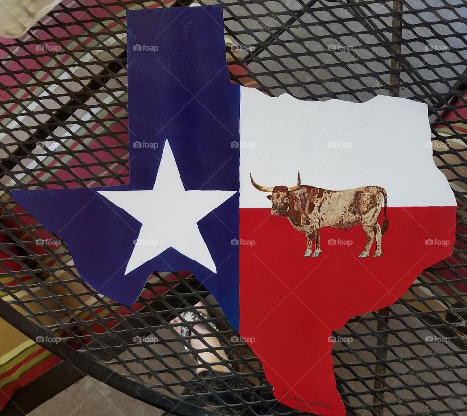 Hand painted Texas Longhorn & Texas Flag custom made. The Longhorn is my friends & I used a side view picture of him was for his painted portrait.
