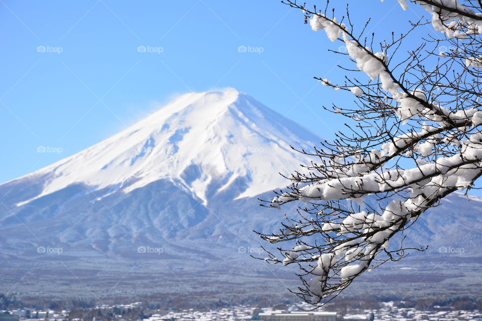 Mount fuji in winter
