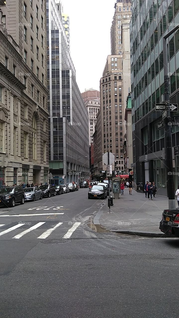 Narrow Streets of New York