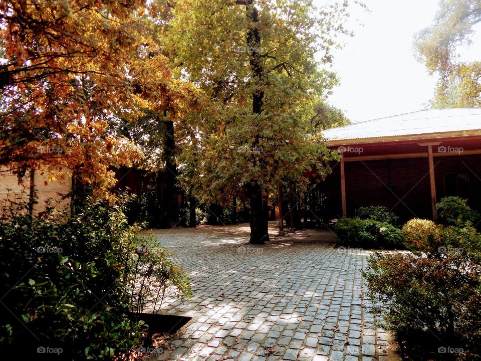 Autumn trees all around.