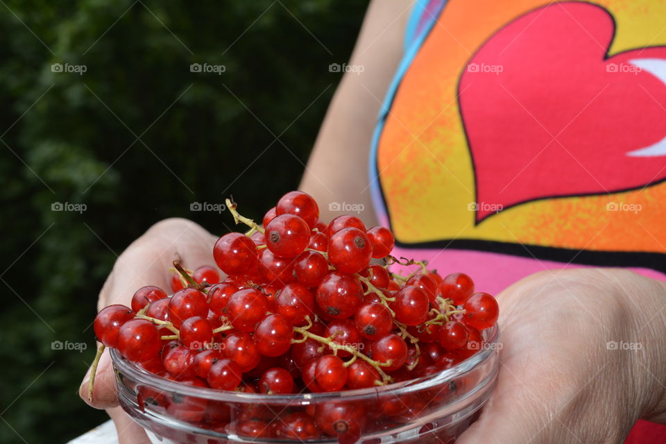 red berries on a plate in the hands female