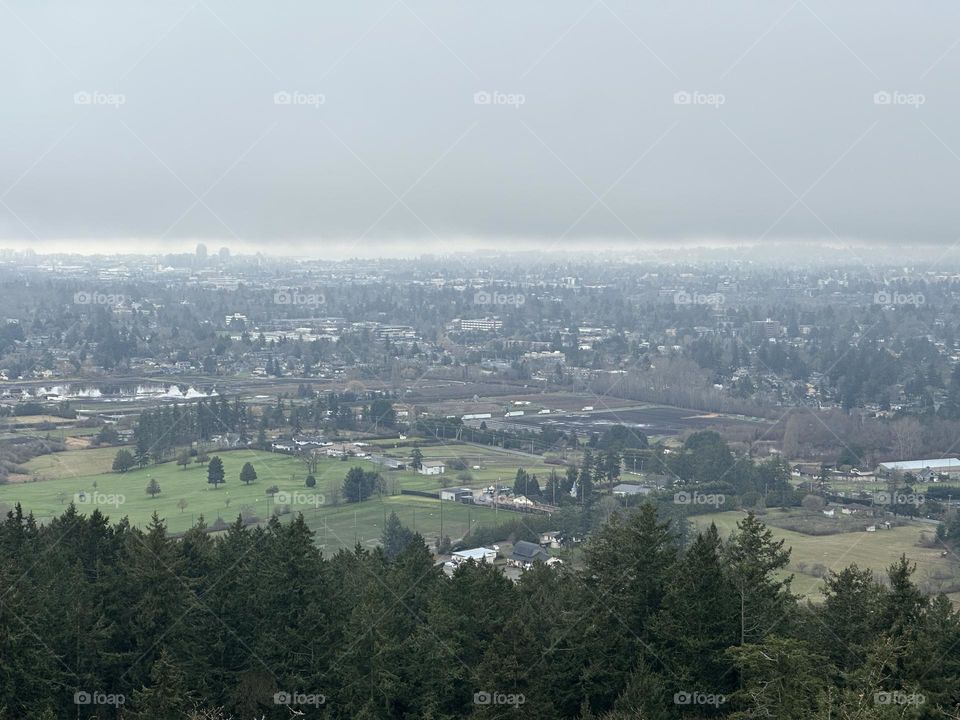 Landscape from above 