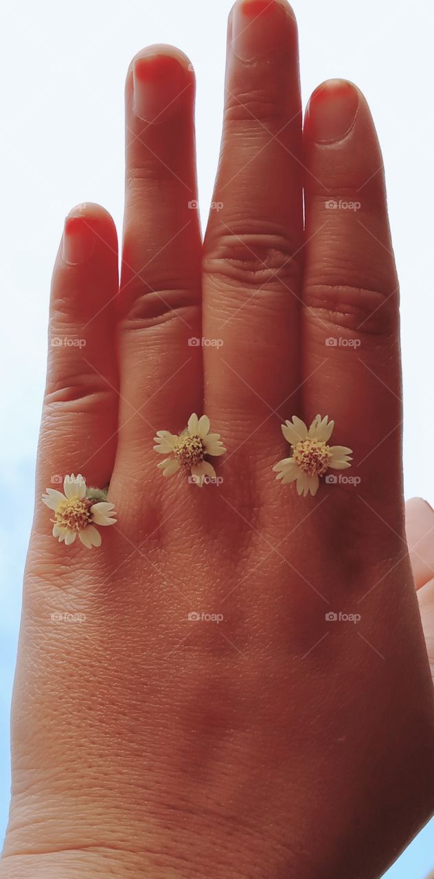 Flora and Fauna of 2019