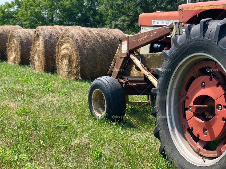 Farm life