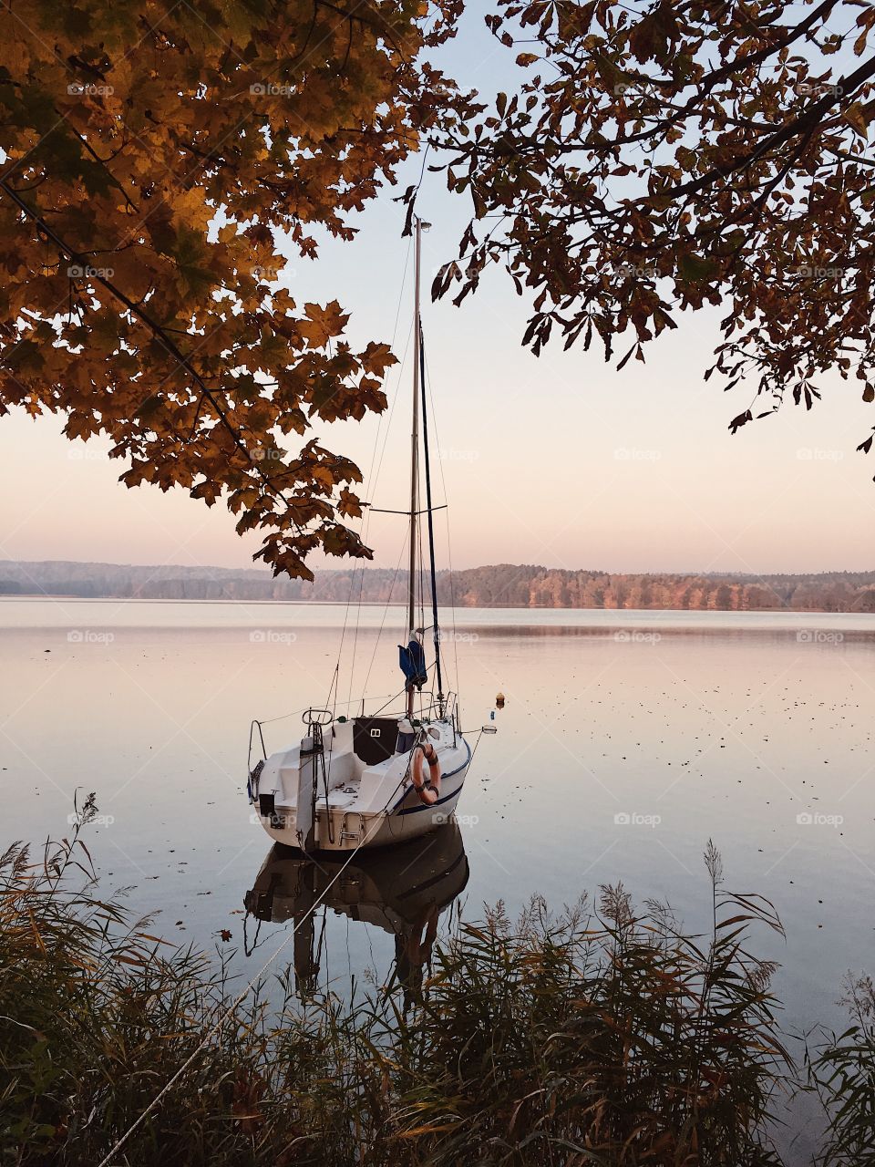 Autumn sailing