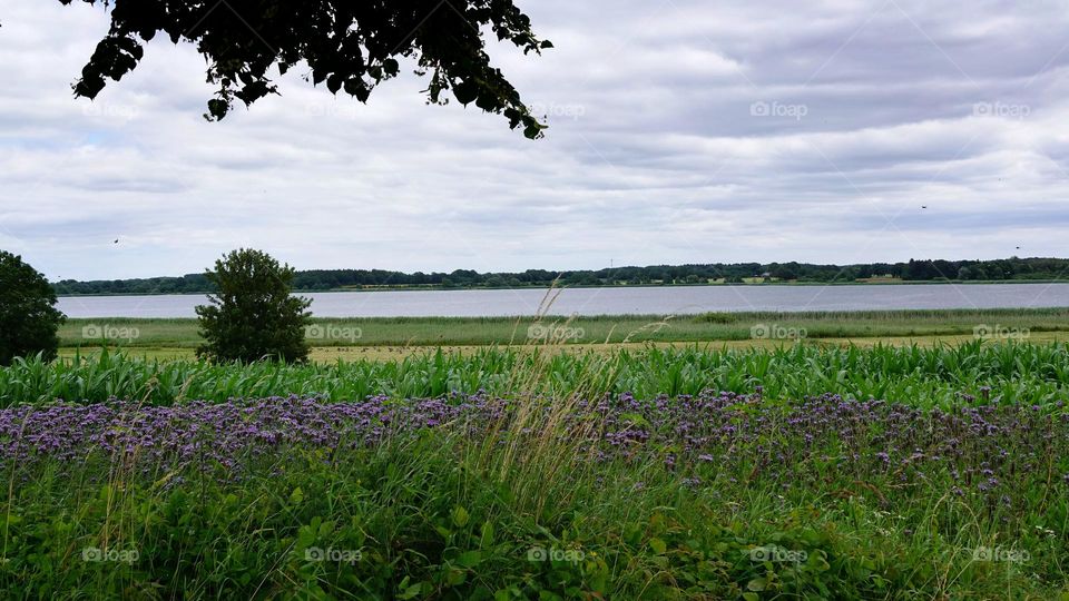 Go for a walk by the lake