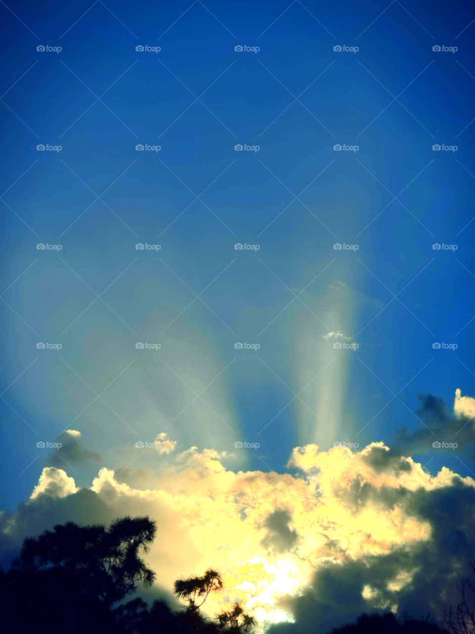 Yellow sunlight bursting into crystal clear sky. 