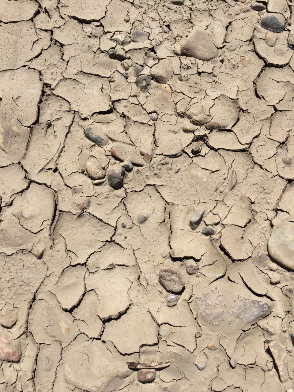 Dry riverbed
