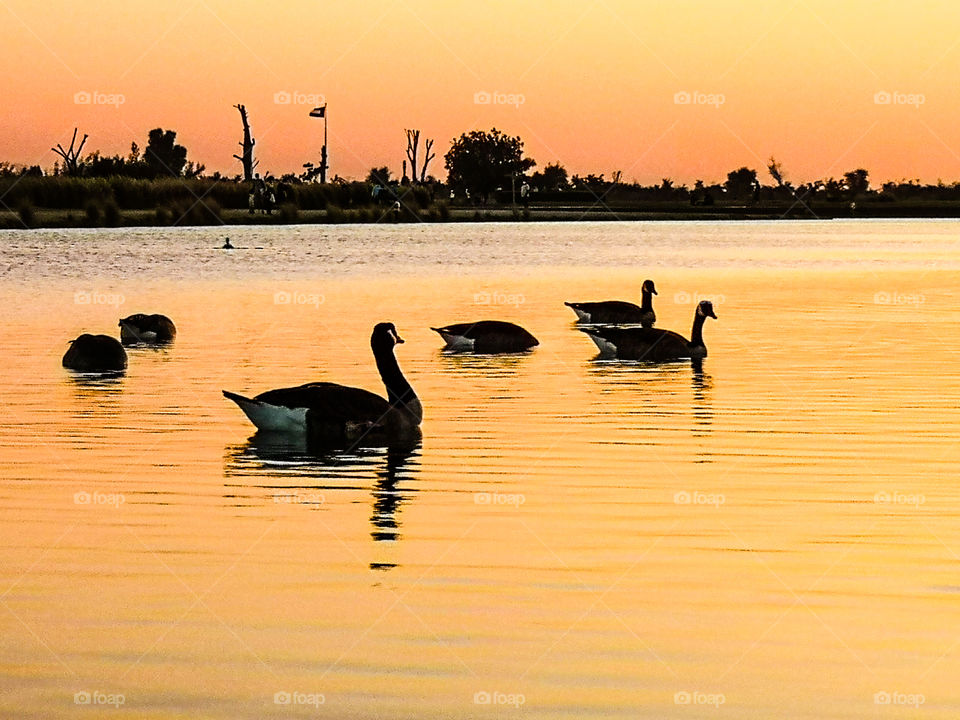 Lakes evening