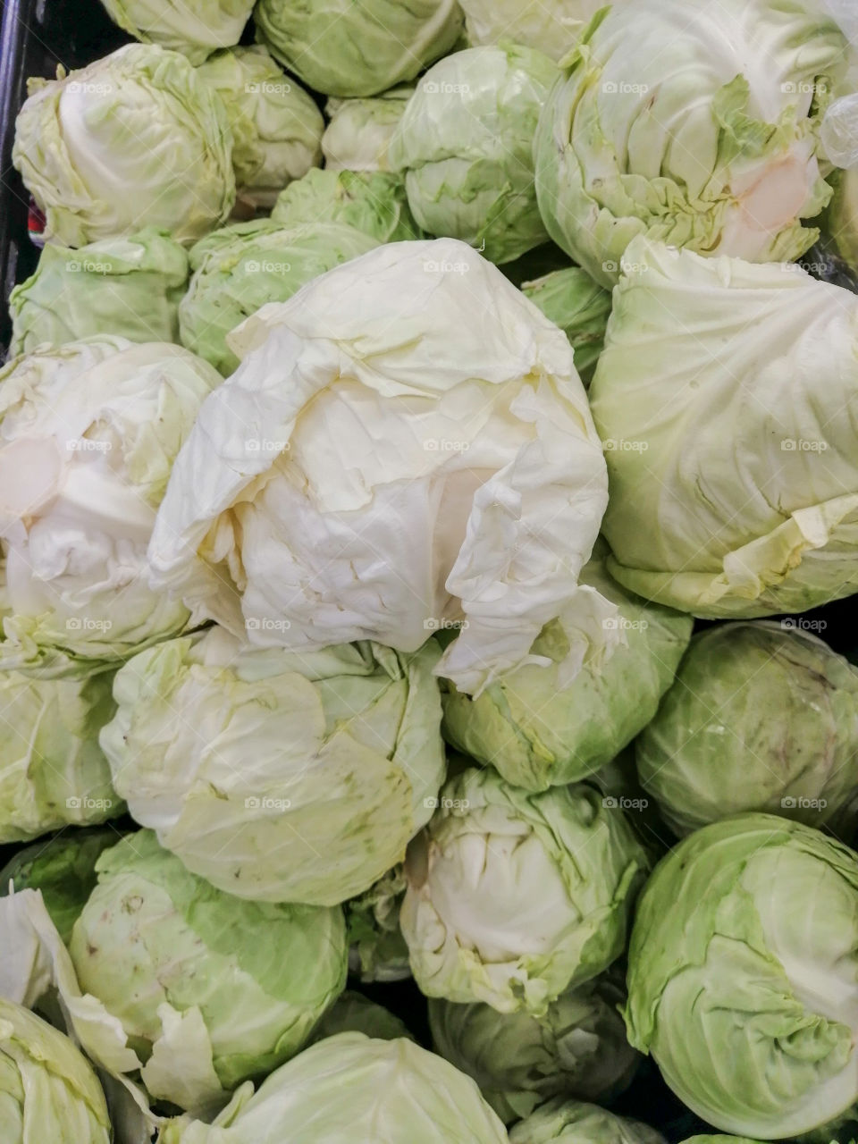 Bulk cabbage for sale in a grocery store