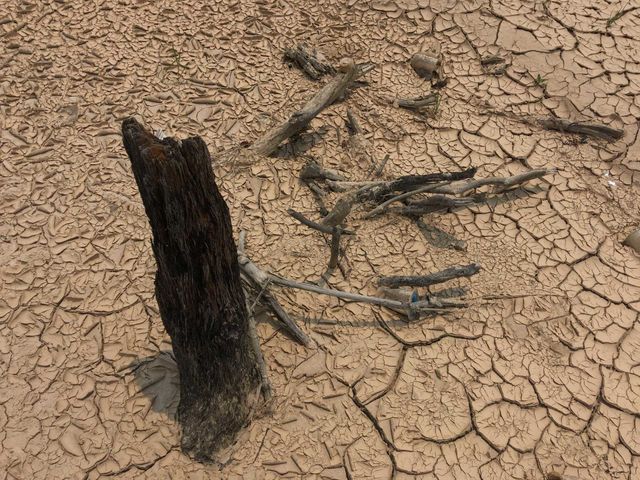 dry ground