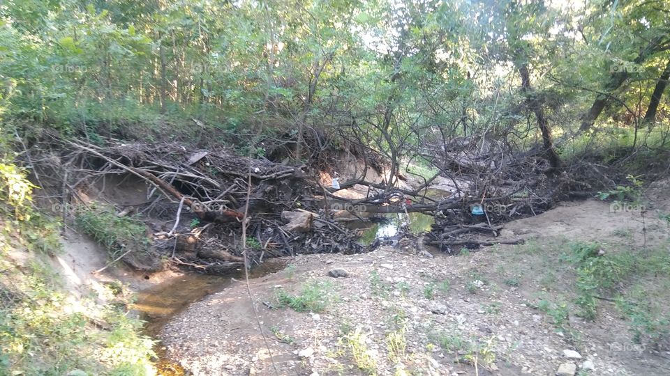 fallen tree over muddy stream