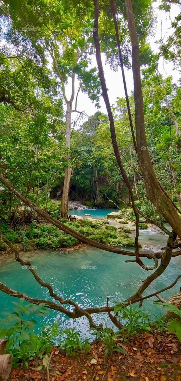 Jamaica Ochoa Rios blue hole