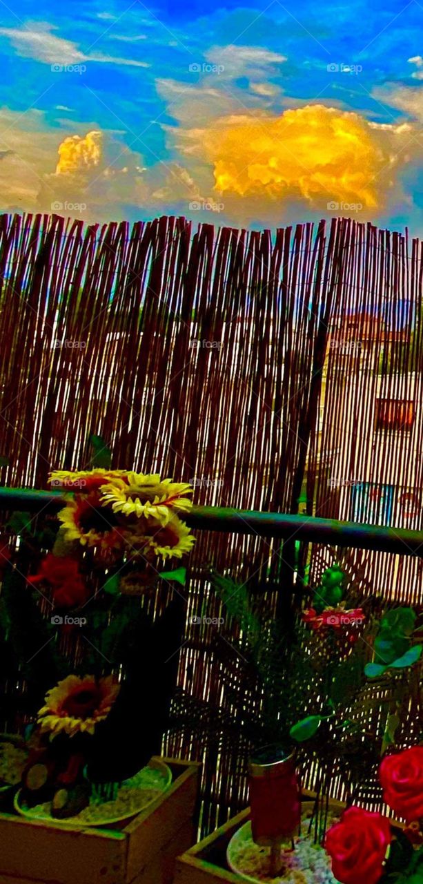 Color : Yellow / Still Life / Sunset Lover / Magic Cyprus / Magnificent/ My Magic World Through My eyes / Sky Explosion - Cyprus - Nicosia - Limassol Kurio