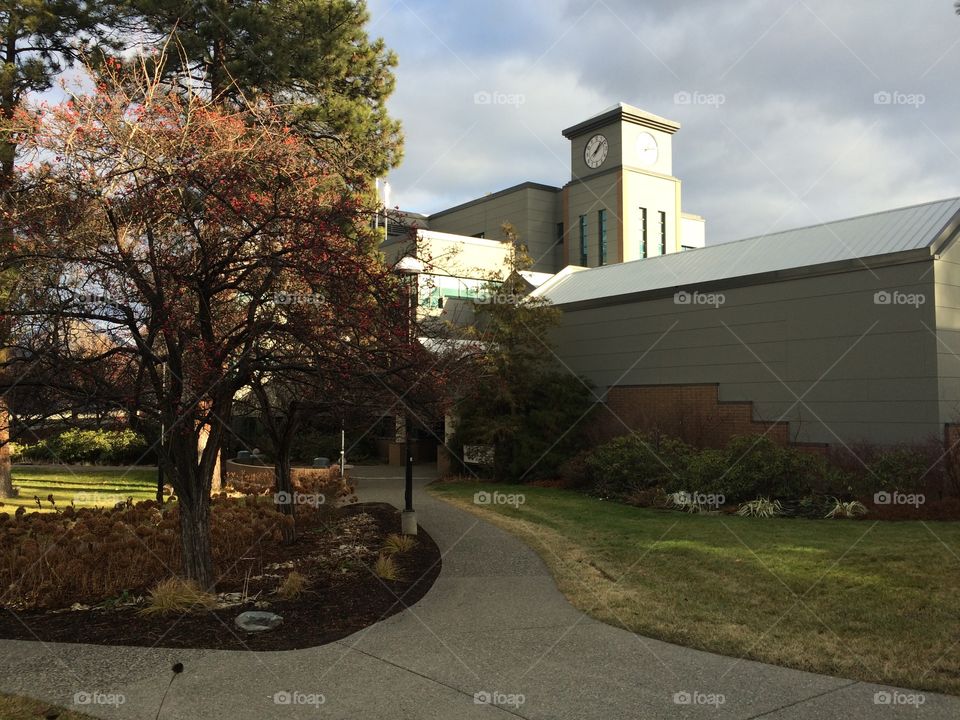 Beautiful Thompson Rivers University! 