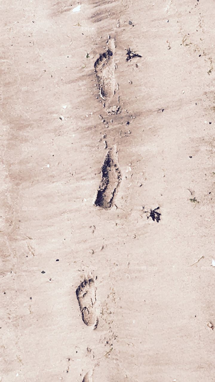 Footprints in the sand