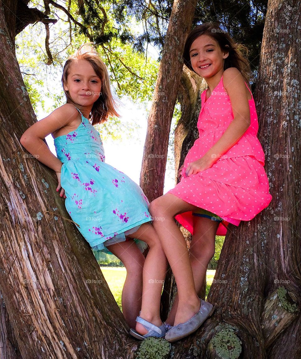 Two girls standing and posing on tree trunk