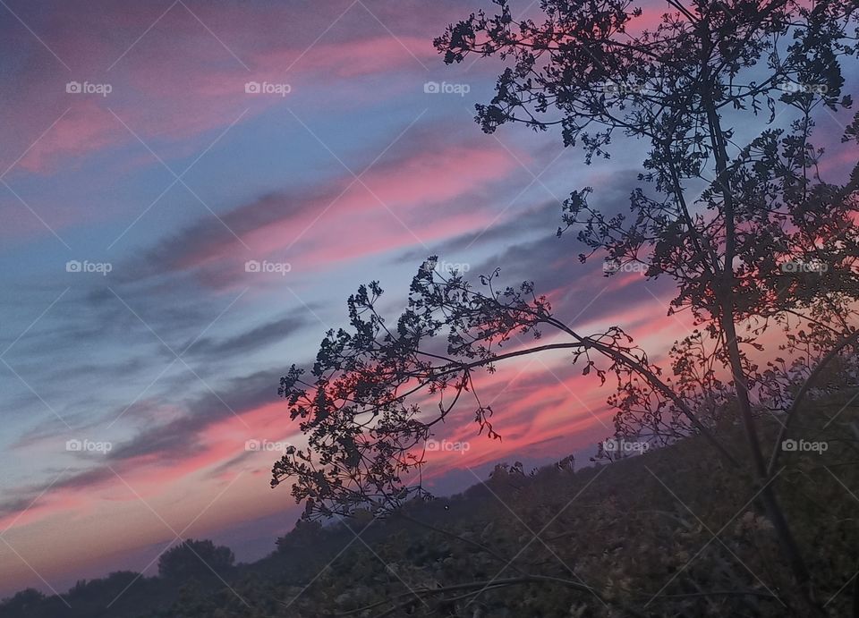 silhouette against clouds