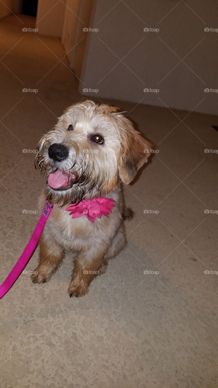 THAT SMILE THOUGH..😍