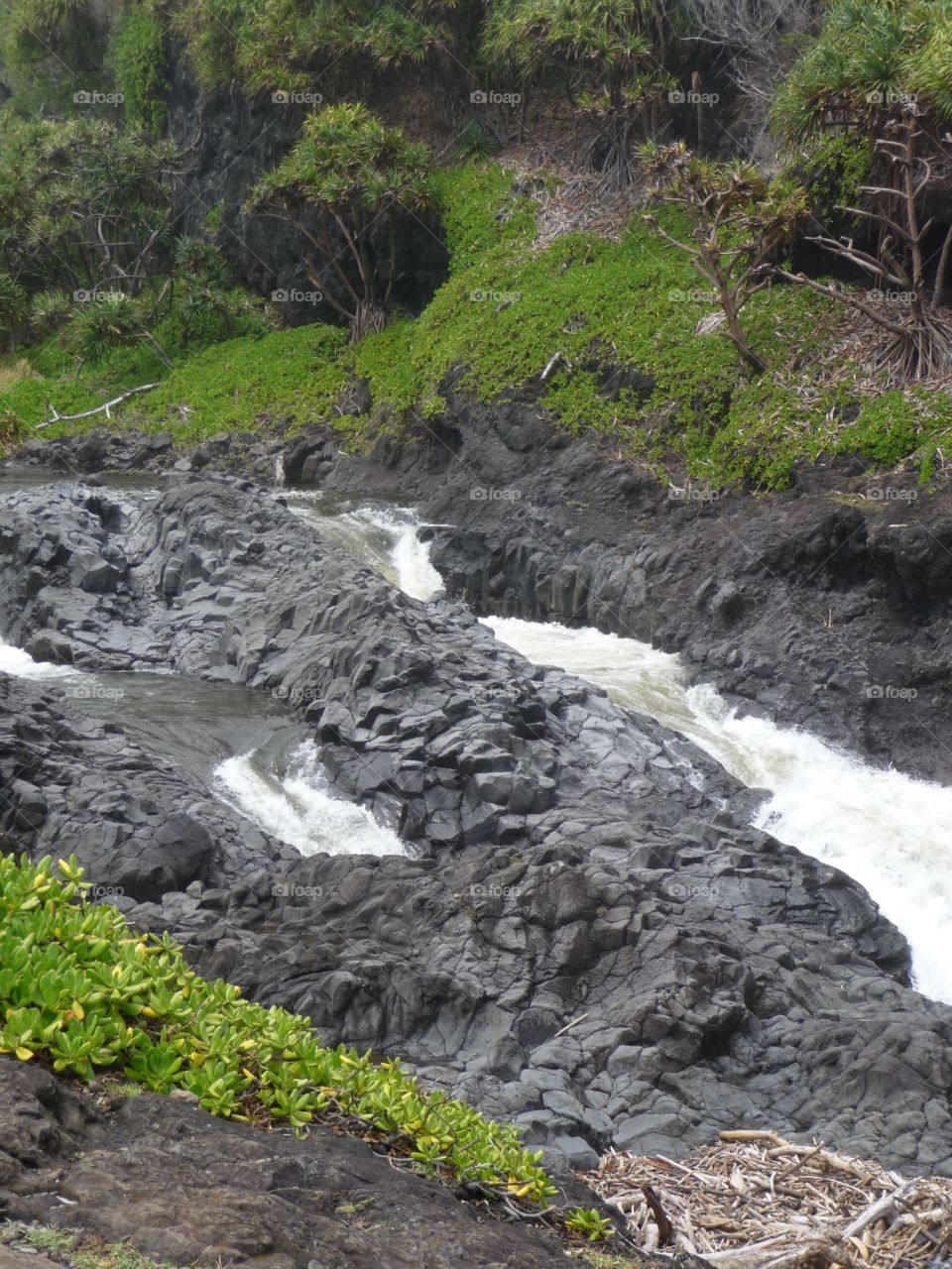 Maui, HI