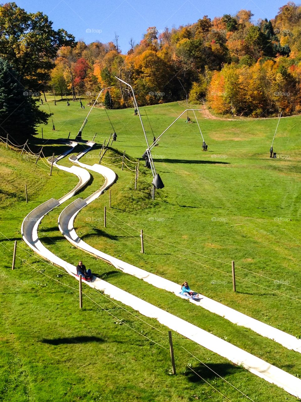 Alpine Slide