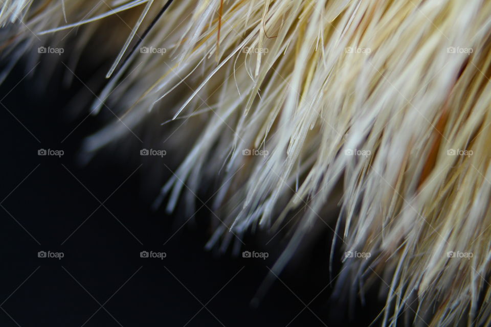 macro fibers