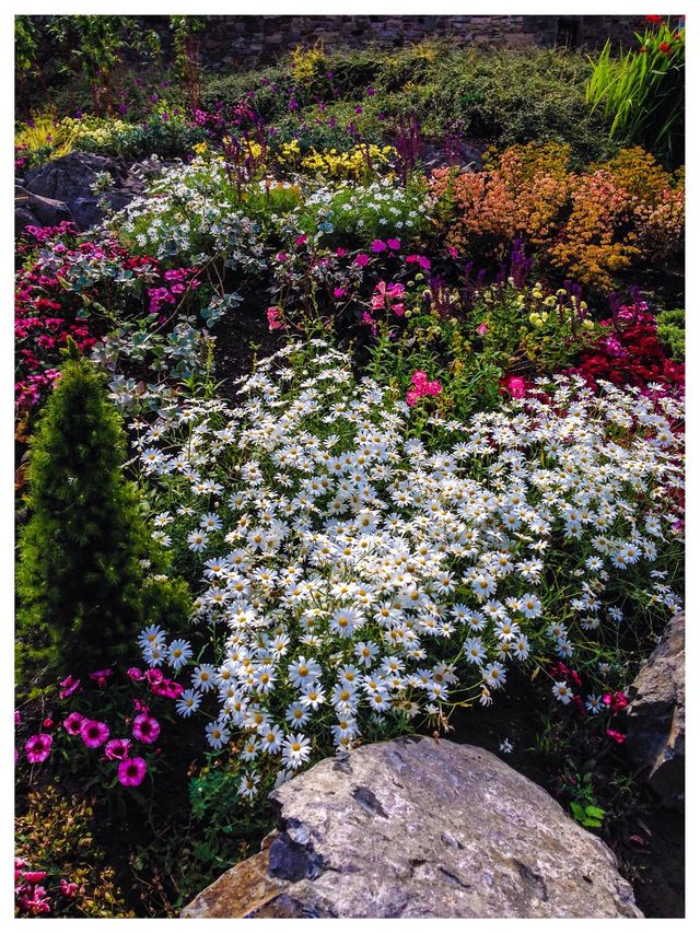 Garden at Edinburgh Castle