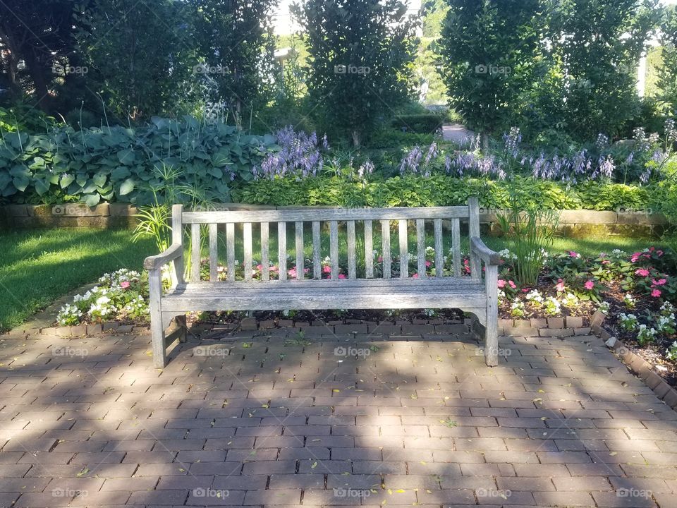 Bench in Nature