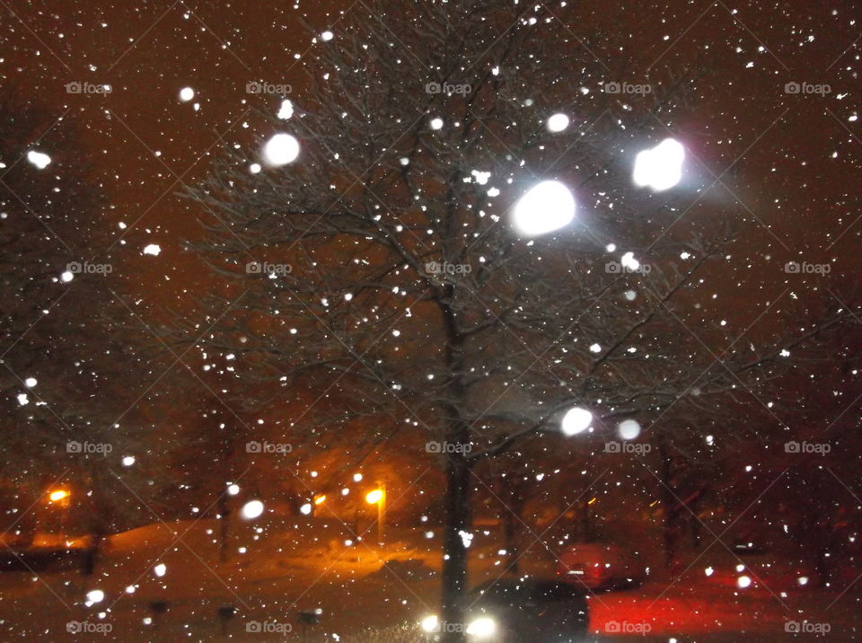 Schnee Sturm Nachts Licht regen Auto Baum Winter schlechtes Wetter