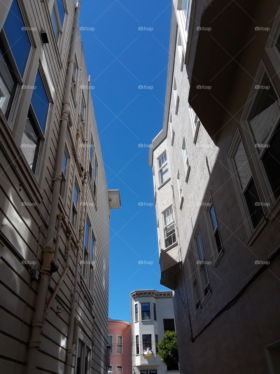Living and architecture of San Francisco California