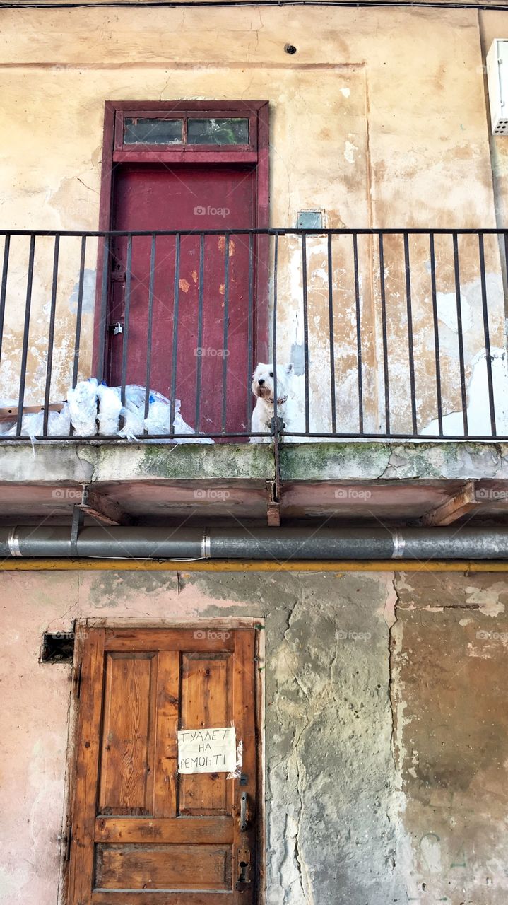 Door, Architecture, House, Building, Wall