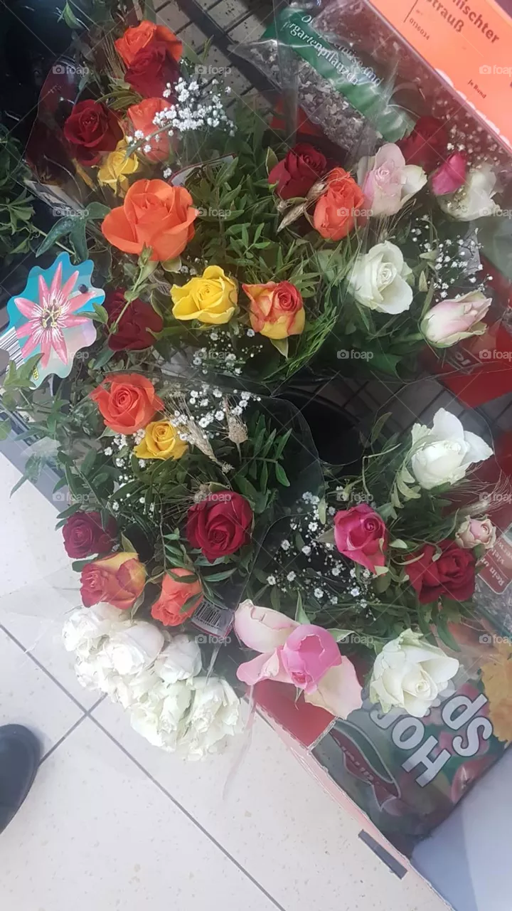Blumen 