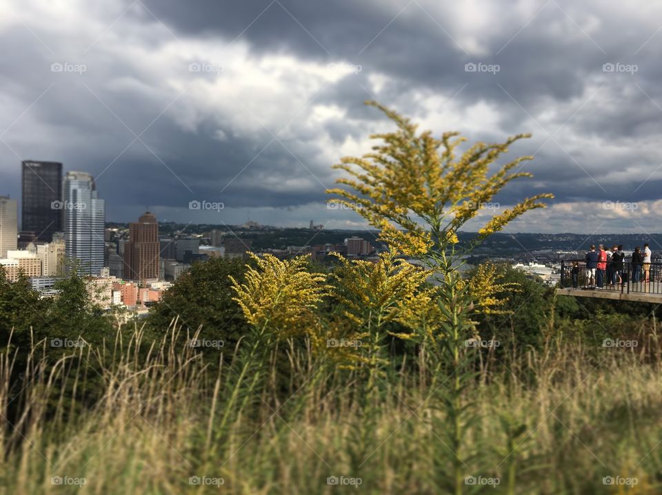 Overlooking the city of Pittsburgh
