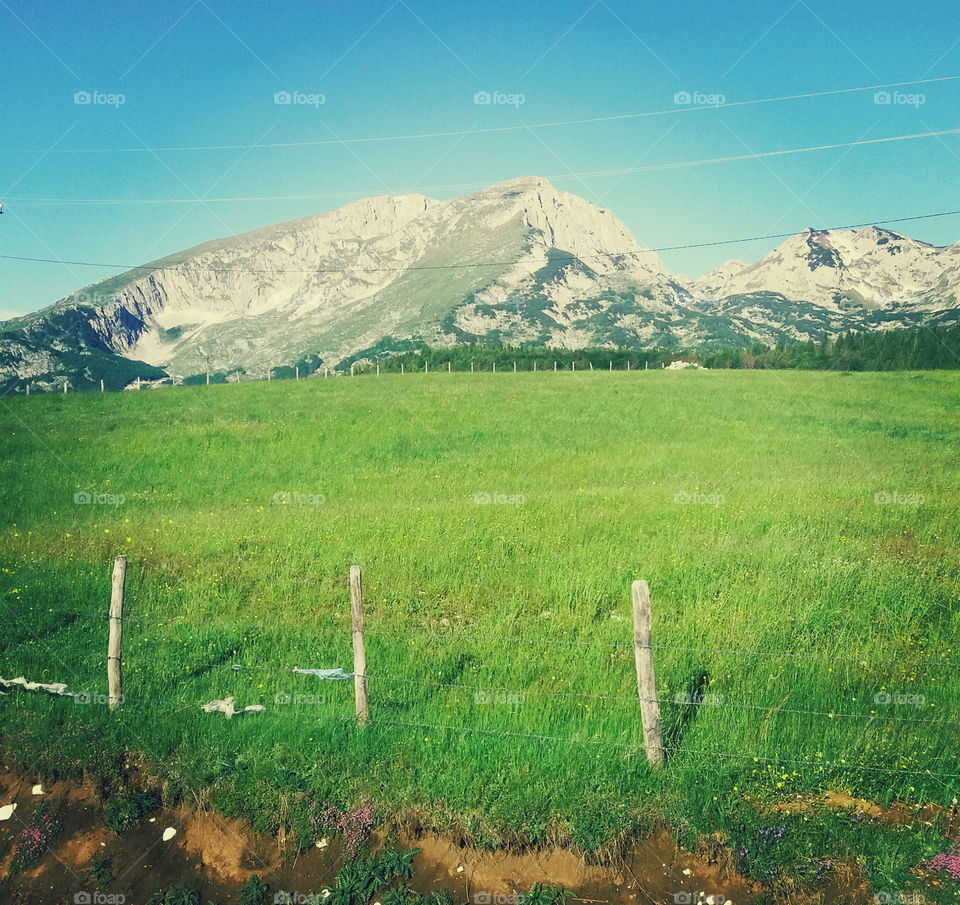 mountains and meadow. green and blue