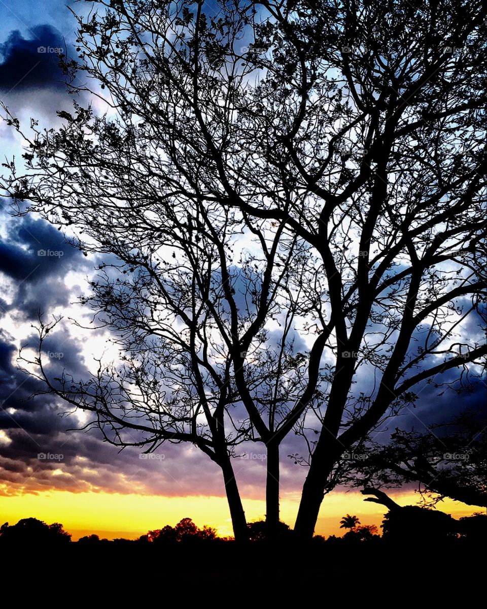 🌅Desperte, Jundiaí!
#Céu maravilhoso com prenúncio de jornada boa.
🍃
#sol #sun #sky #photo #nature #morning #alvorada #natureza #horizonte #fotografia #pictureoftheday #paisagem #inspiração #amanhecer #mobgraphy #mobgrafia #Jundiaí #AmoJundiaí 