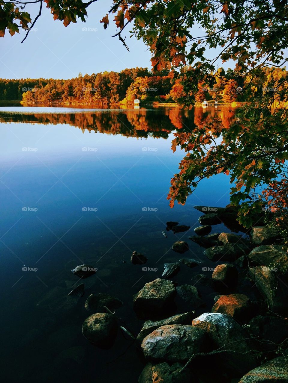 Autumn trees reflecting on lake